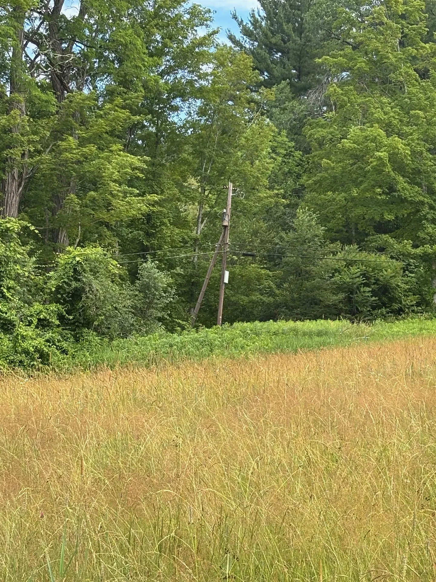 2745 Bonnyvale Road Guilford VT 05301