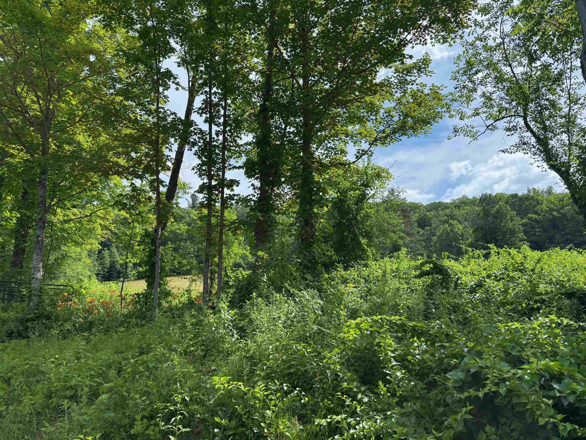 2745 Bonnyvale Road Guilford VT 05301