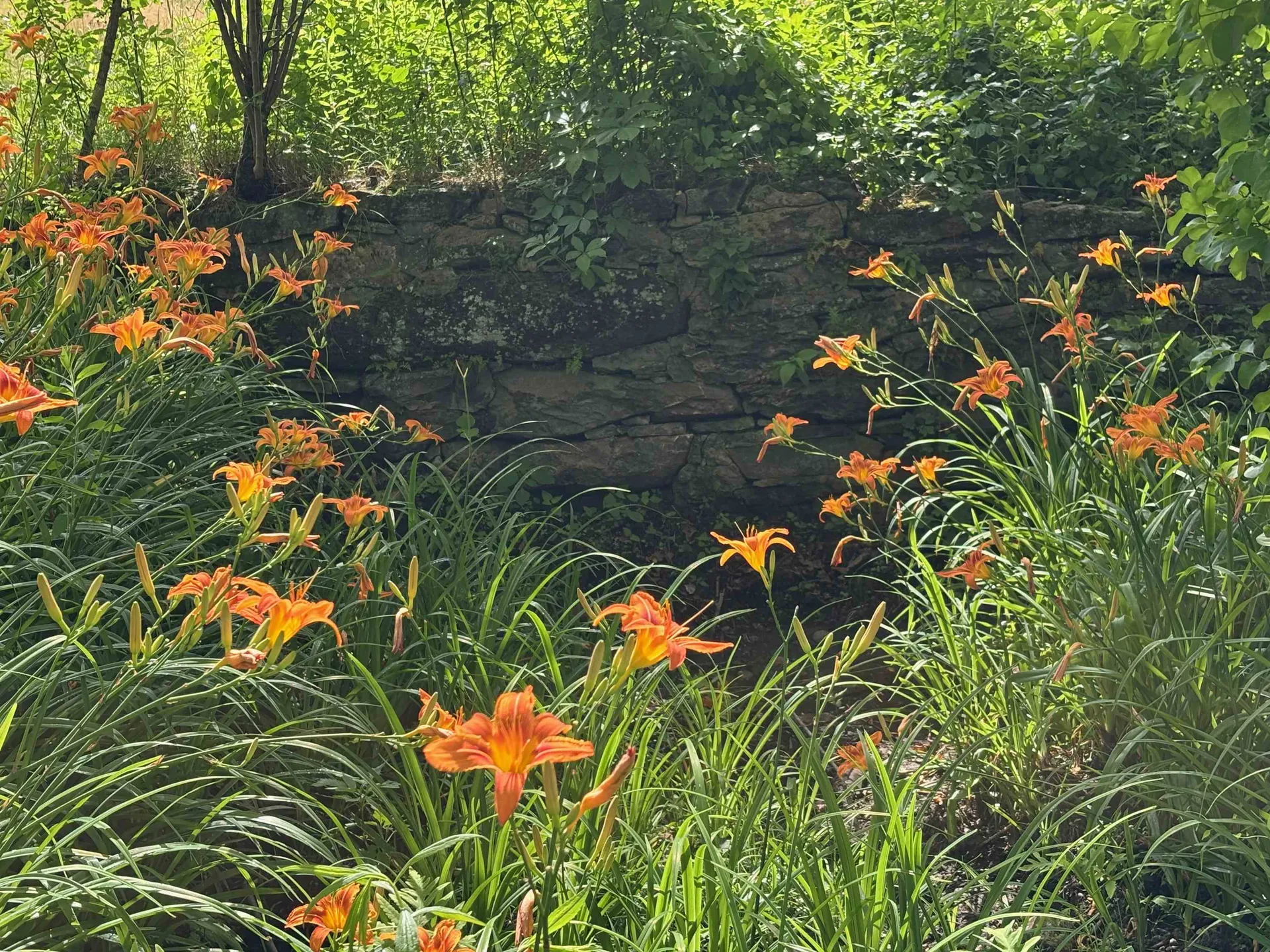 2745 Bonnyvale Road Guilford VT 05301