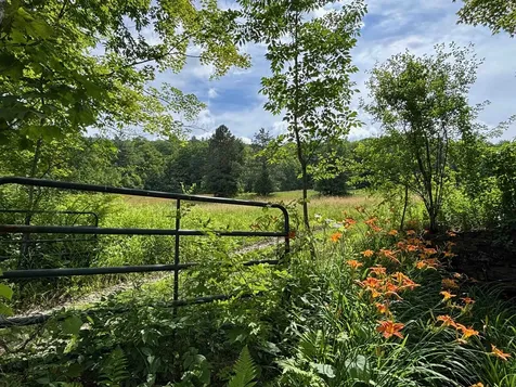 2745 Bonnyvale Road Guilford VT 05301