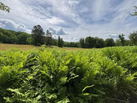 2745 Bonnyvale Road Guilford VT 05301