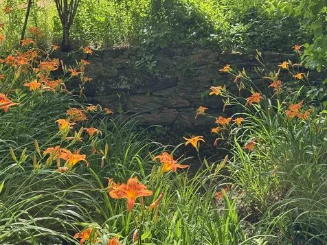 2745 Bonnyvale Road Guilford VT 05301