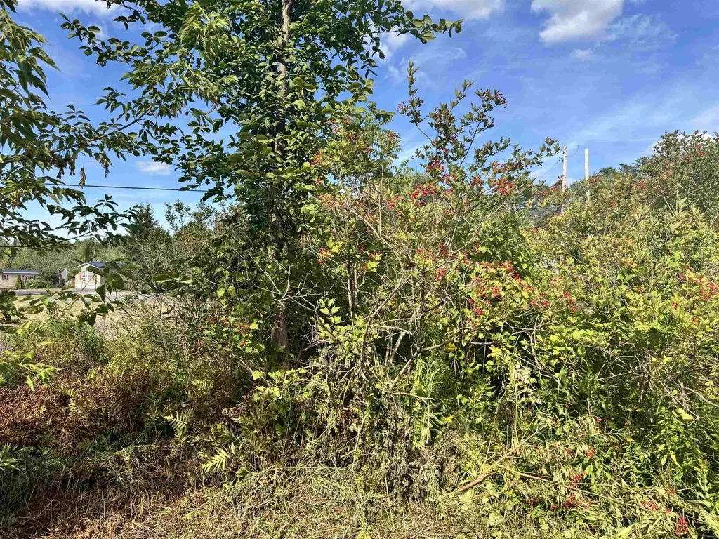 5 Faraway Road Dalton NH 03598