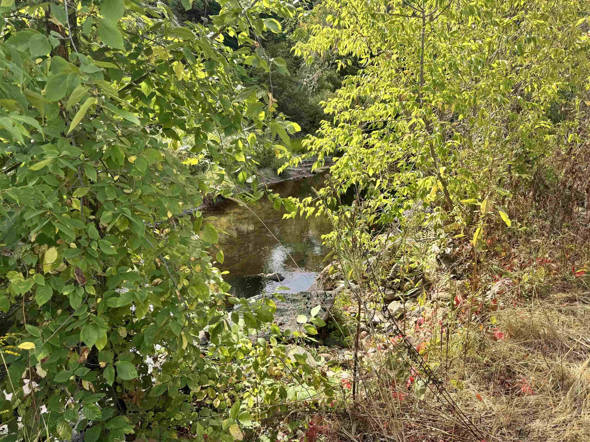 5 Faraway Road Dalton NH 03598