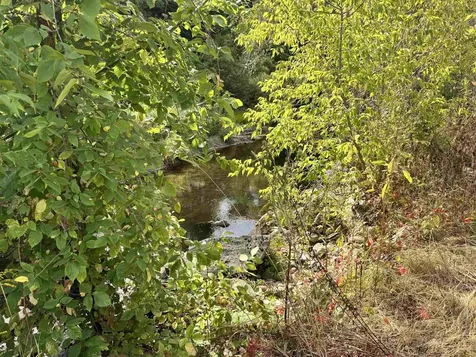 5 Faraway Road Dalton NH 03598