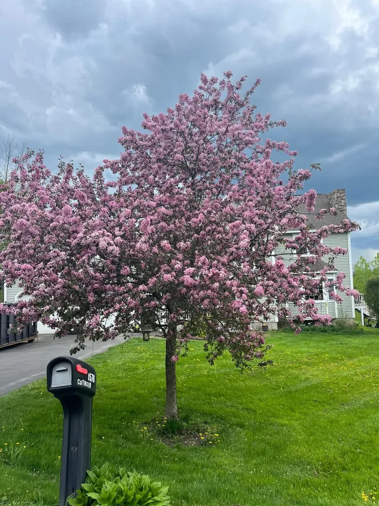 1576 Pine Hill Road Derby VT 05829