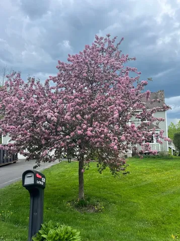 1576 Pine Hill Road Derby VT 05829