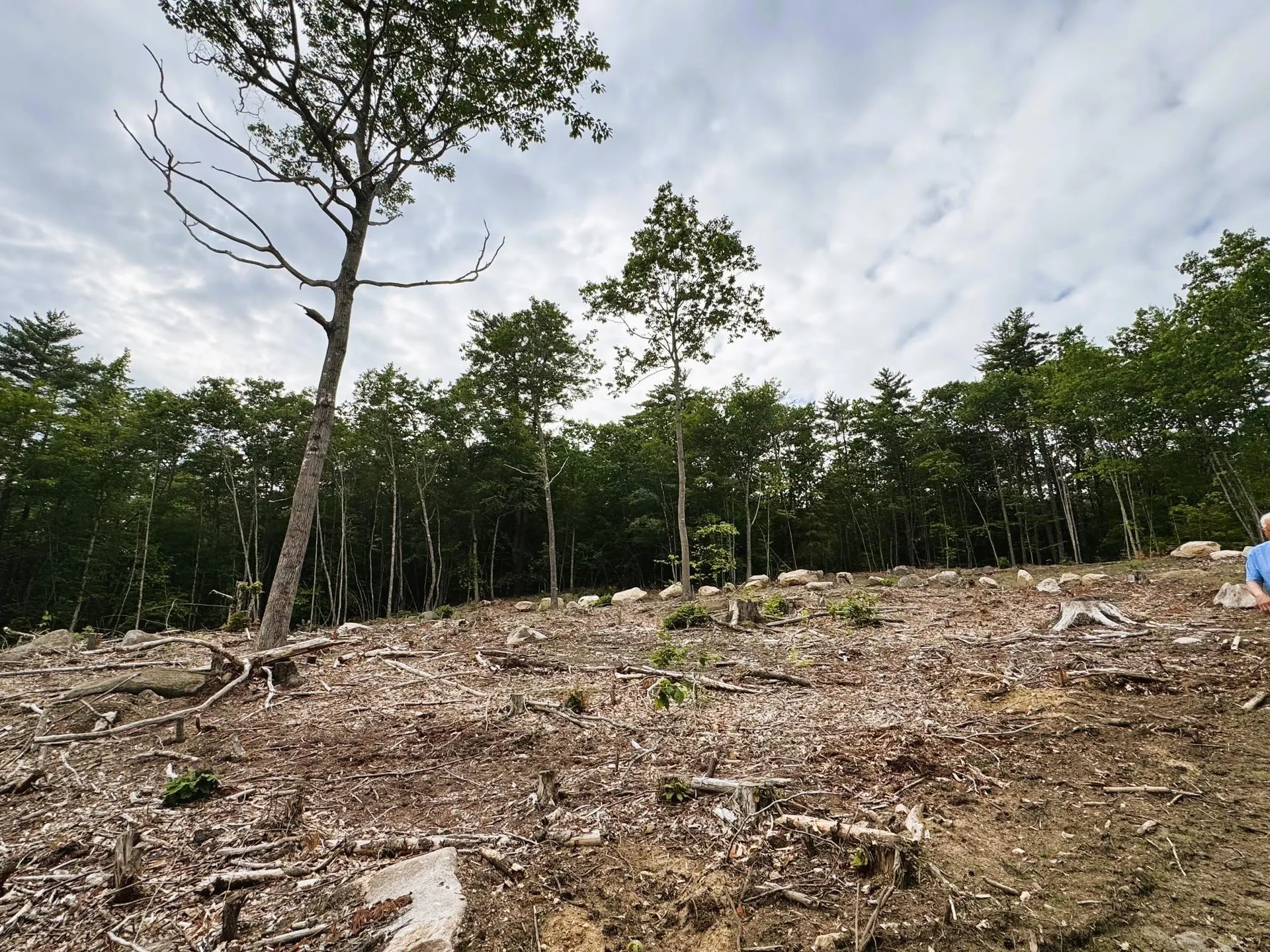 Rines Road Alton NH 03809