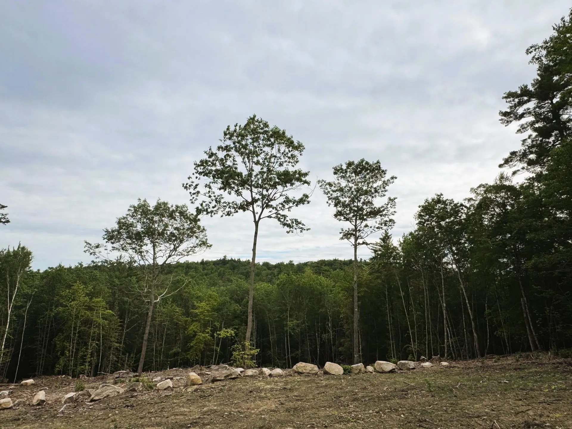 Rines Road Alton NH 03809