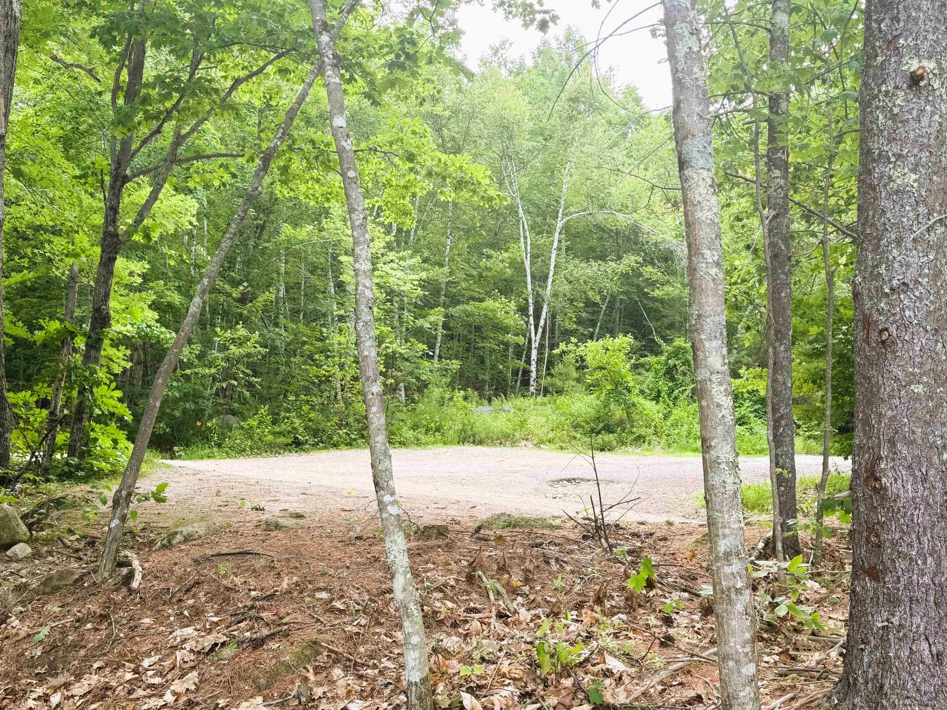 Rines Road Alton NH 03809