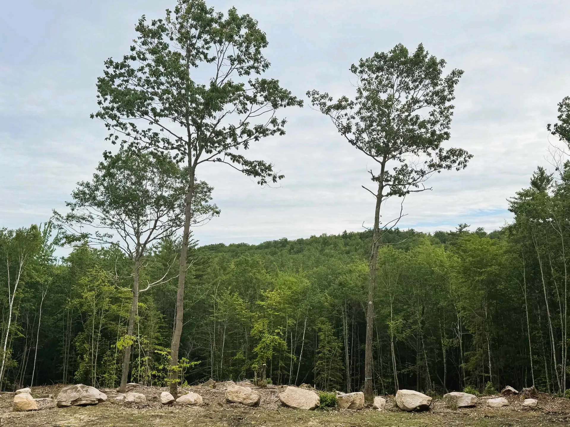 Rines Road Alton NH 03809