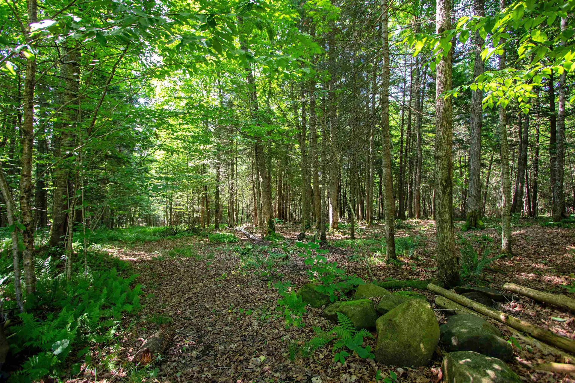 758 Houghton Bridge Road St. Johnsbury VT 05819