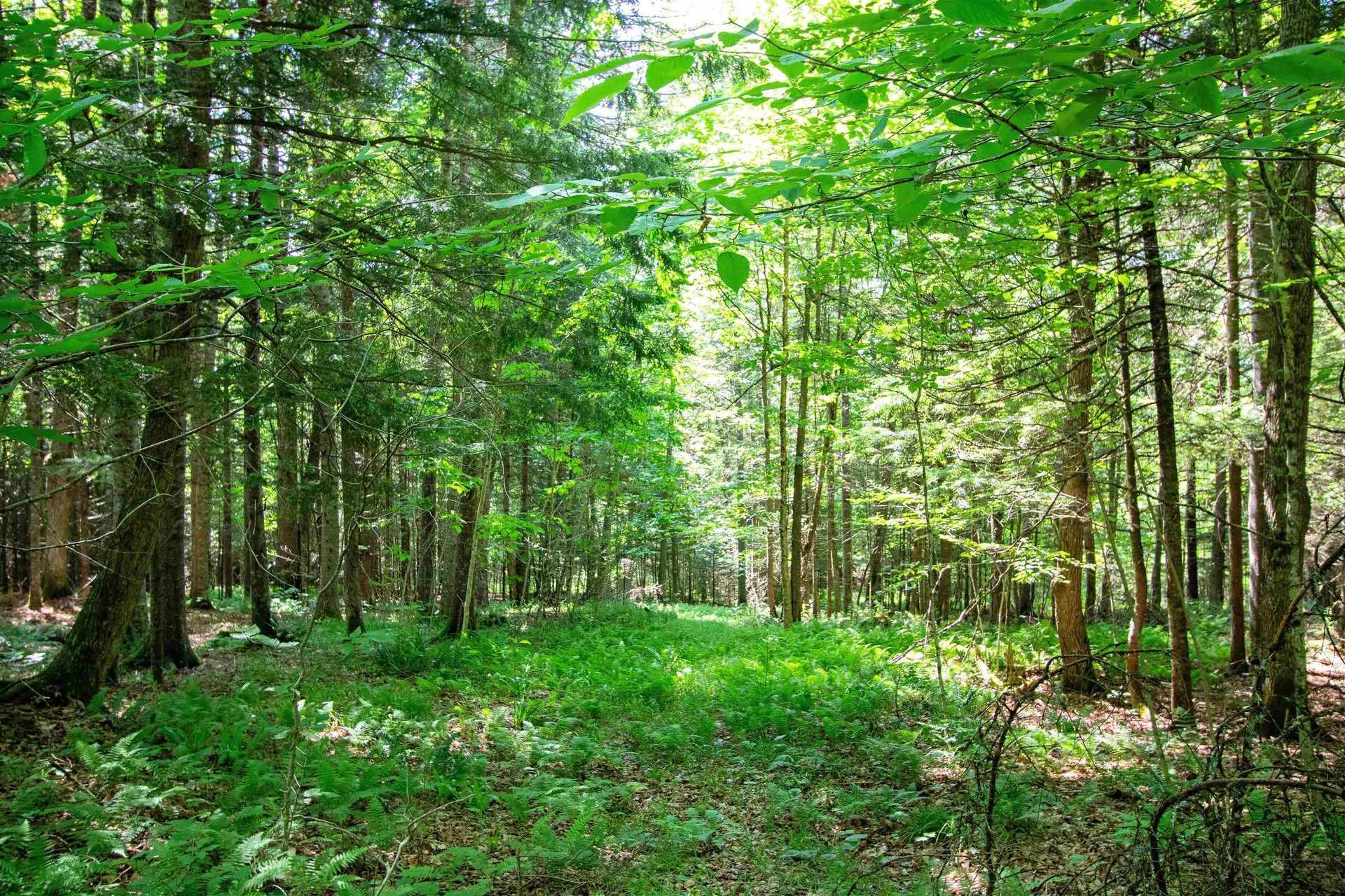 758 Houghton Bridge Road St. Johnsbury VT 05819