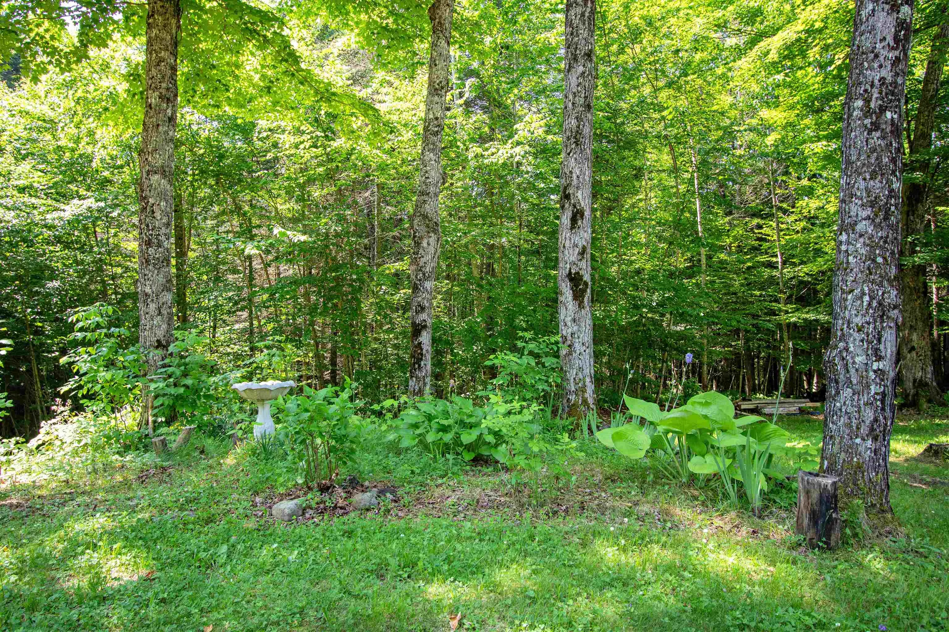 758 Houghton Bridge Road St. Johnsbury VT 05819