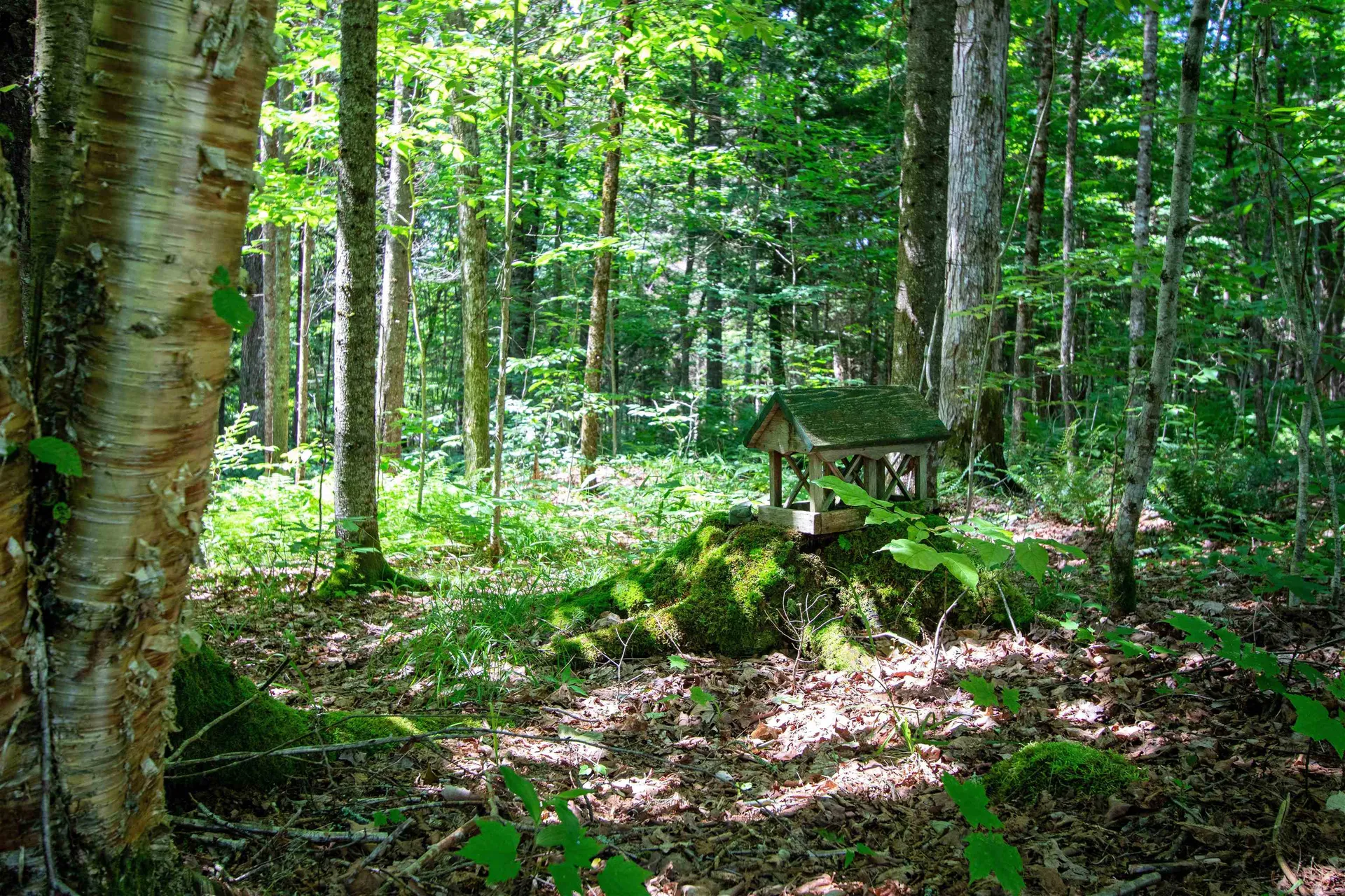 758 Houghton Bridge Road St. Johnsbury VT 05819