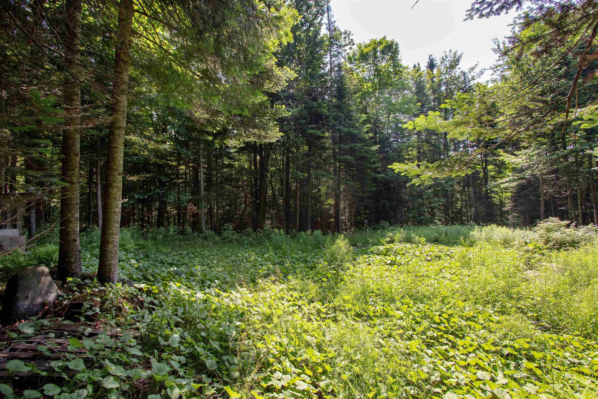 758 Houghton Bridge Road St. Johnsbury VT 05819