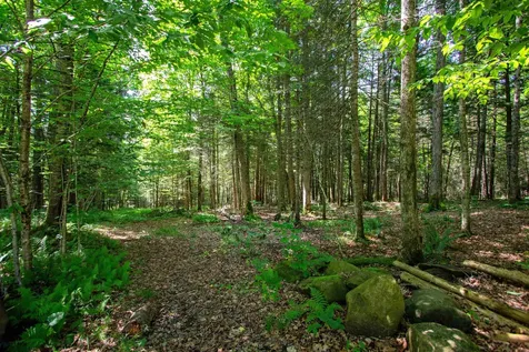 758 Houghton Bridge Road St. Johnsbury VT 05819