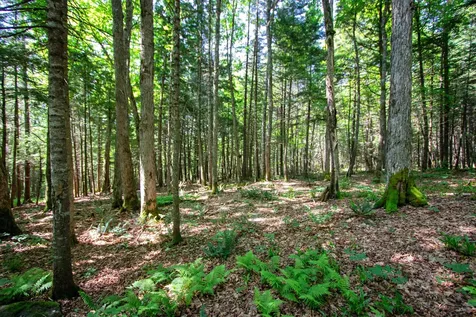 758 Houghton Bridge Road St. Johnsbury VT 05819