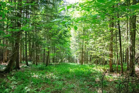 758 Houghton Bridge Road St. Johnsbury VT 05819