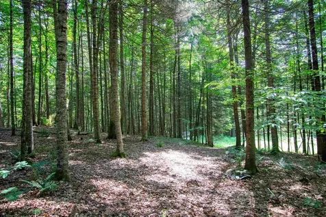 758 Houghton Bridge Road St. Johnsbury VT 05819