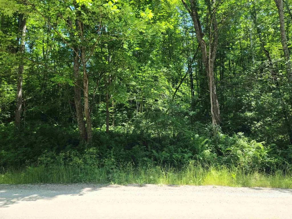 868 Maple Hill Rochester VT 05767