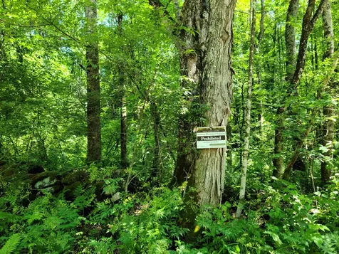 868 Maple Hill Rochester VT 05767