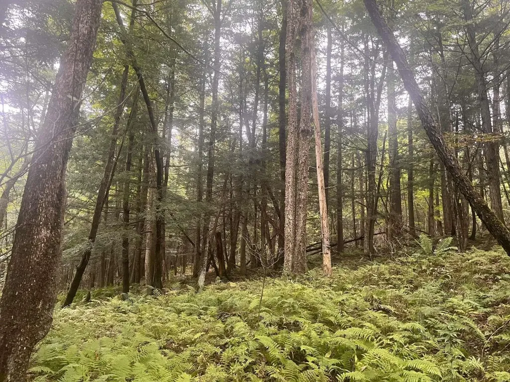 0 East Hill Road East Montpelier VT 05651