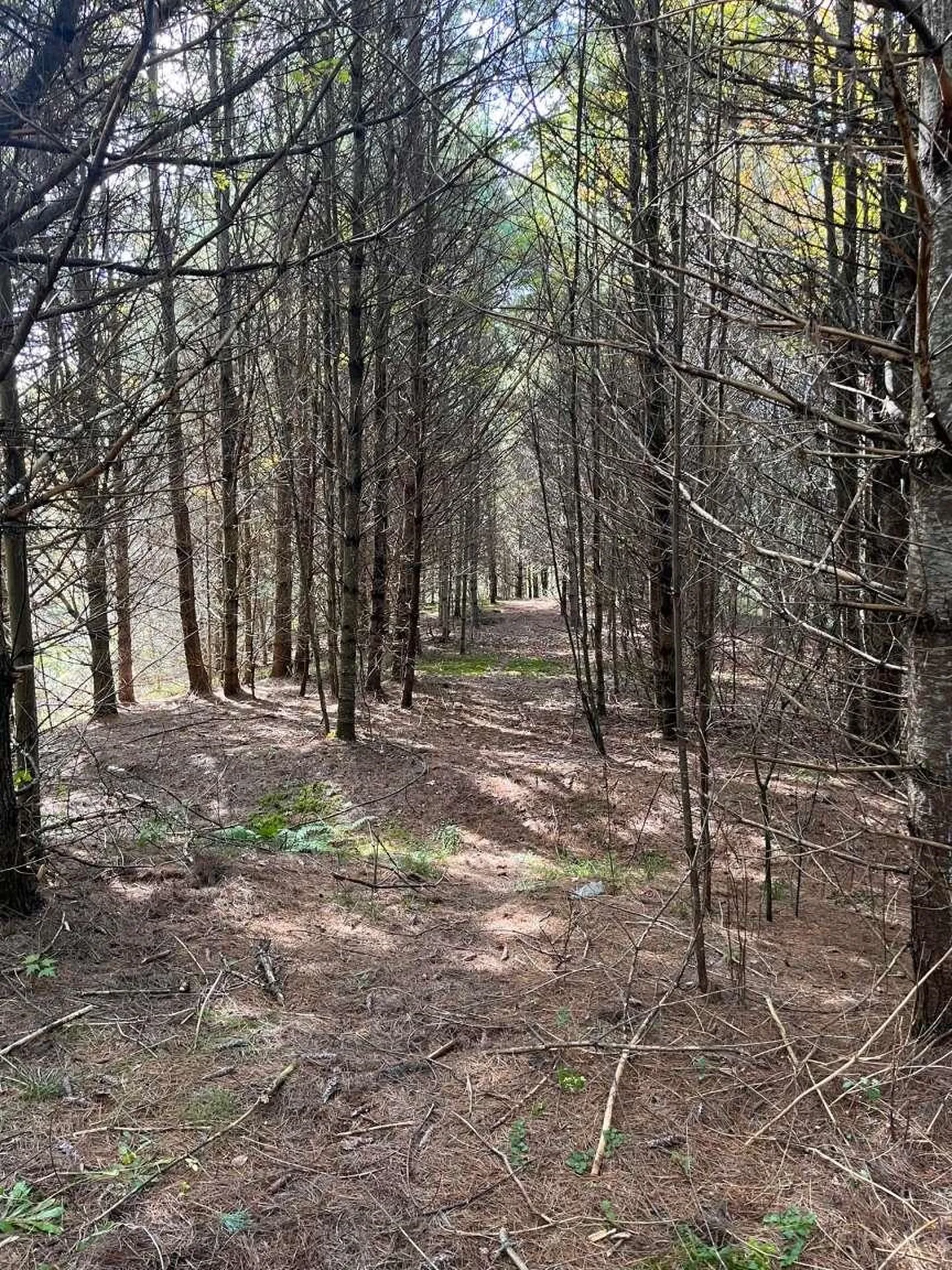 0 East Hill Road East Montpelier VT 05651