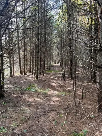 0 East Hill Road East Montpelier VT 05651