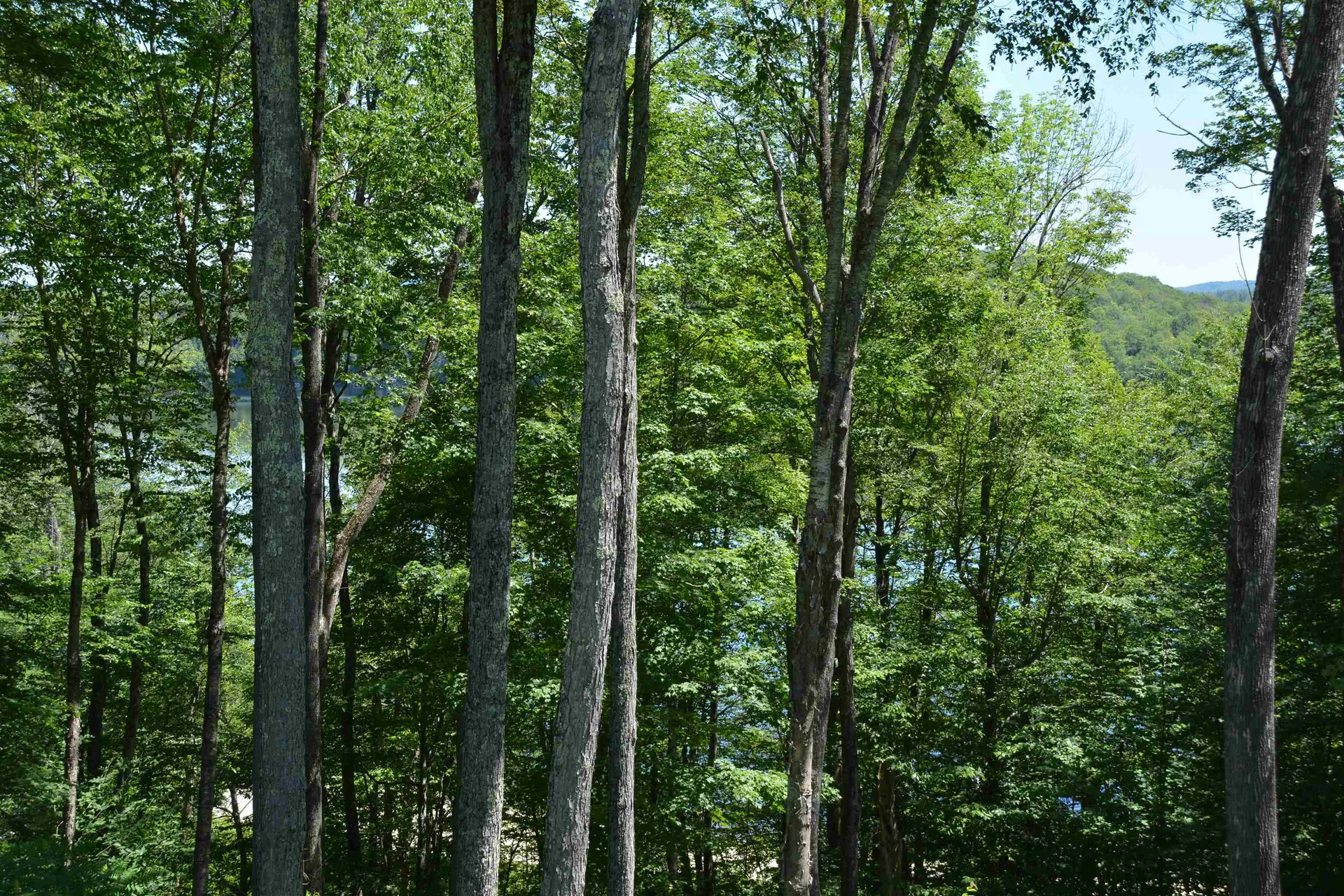 8 Turner Brae Grantham NH 03753