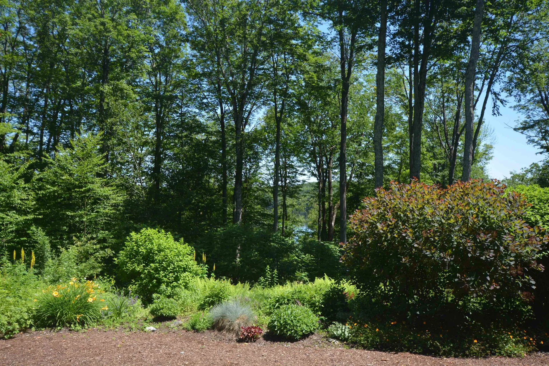 8 Turner Brae Grantham NH 03753