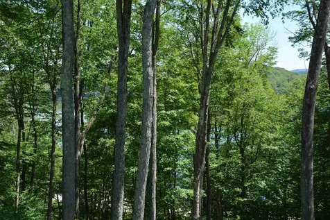 8 Turner Brae Grantham NH 03753