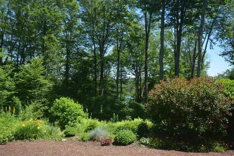 8 Turner Brae Grantham NH 03753