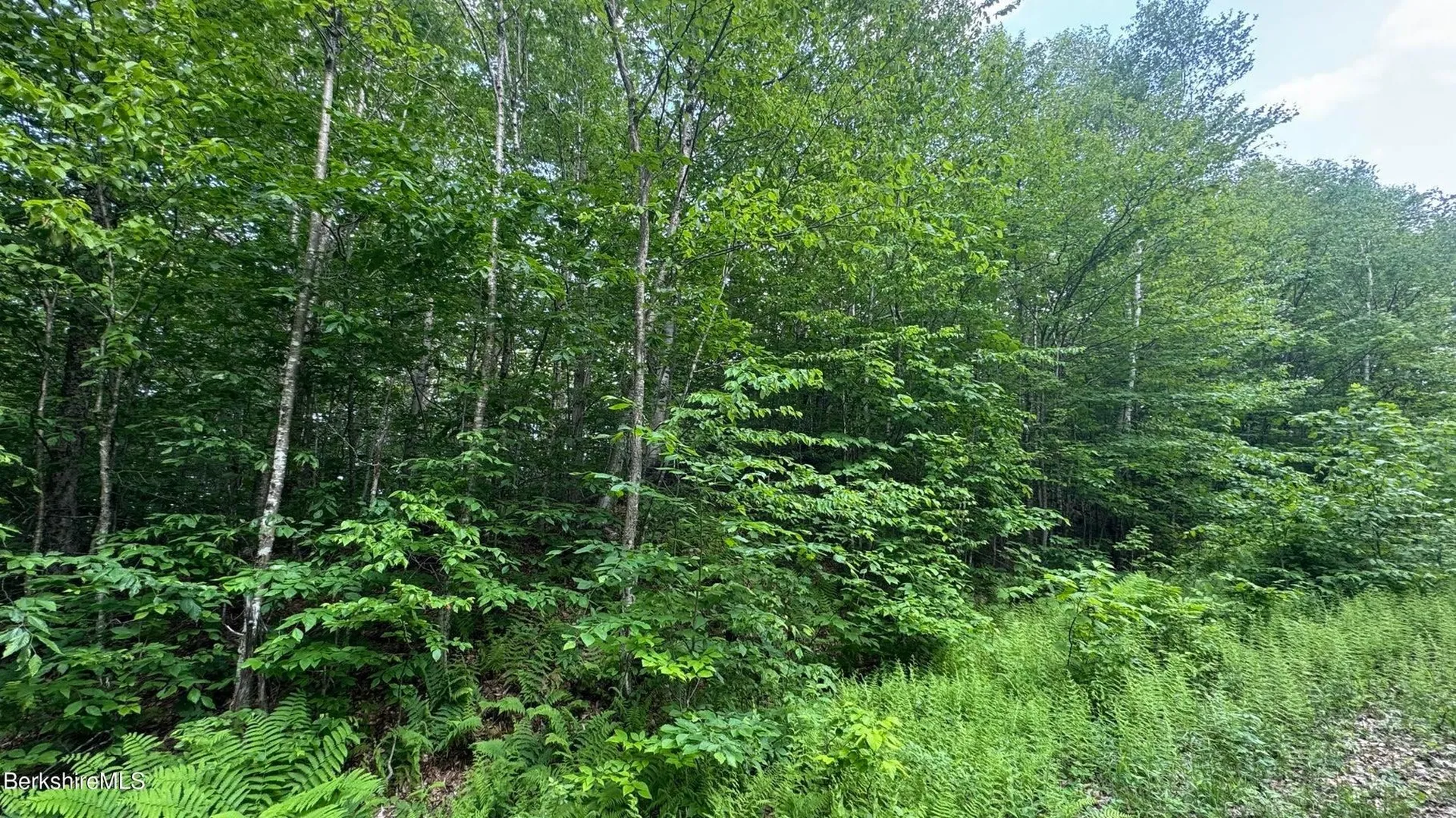 0 Lebenschauung Circle Stamford VT 05352