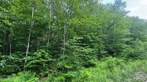 0 Lebenschauung Circle Stamford VT 05352