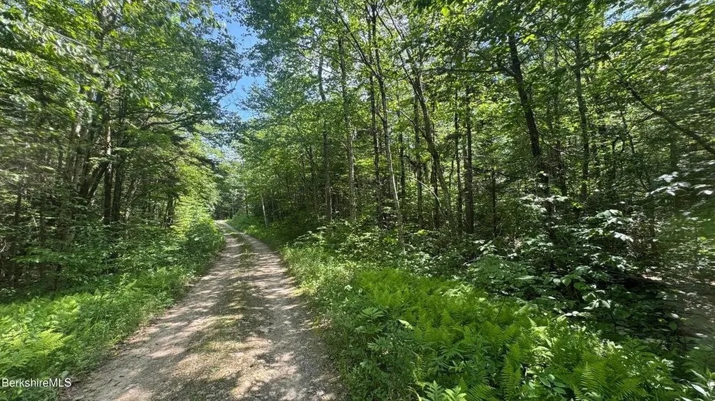 0 Oberdorf Road Stamford VT 05352