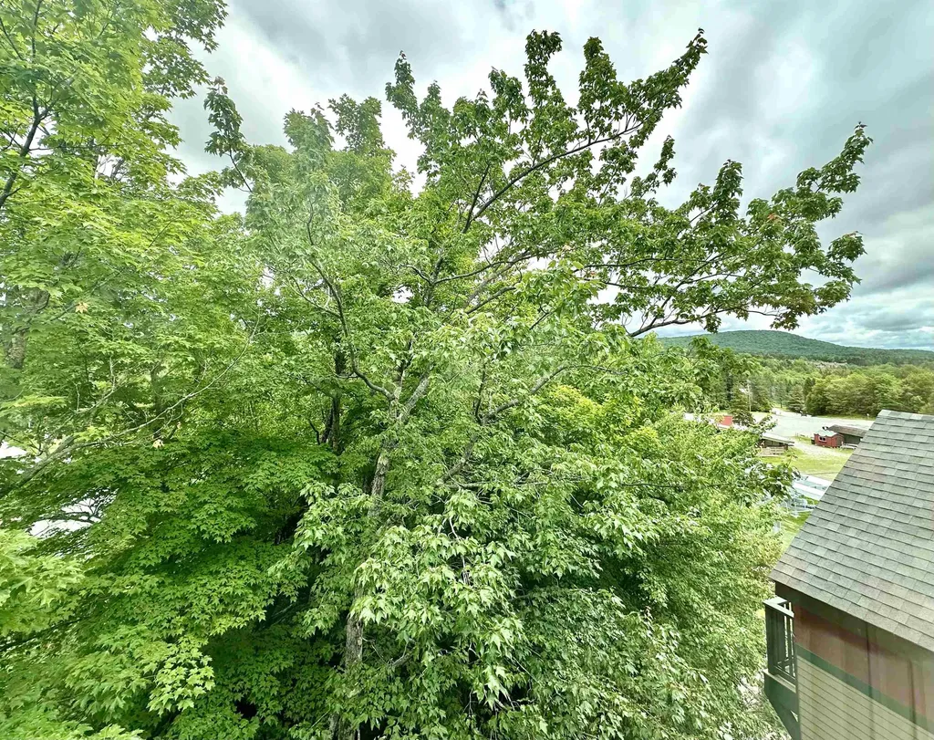 304/306, Qtr 3 Grand Summit Way Dover VT 05356