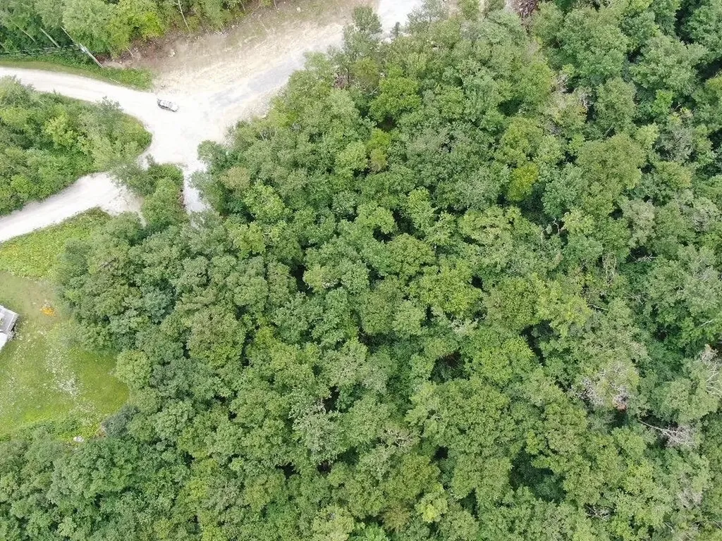 9 Cortina Country Road Mendon VT 05701