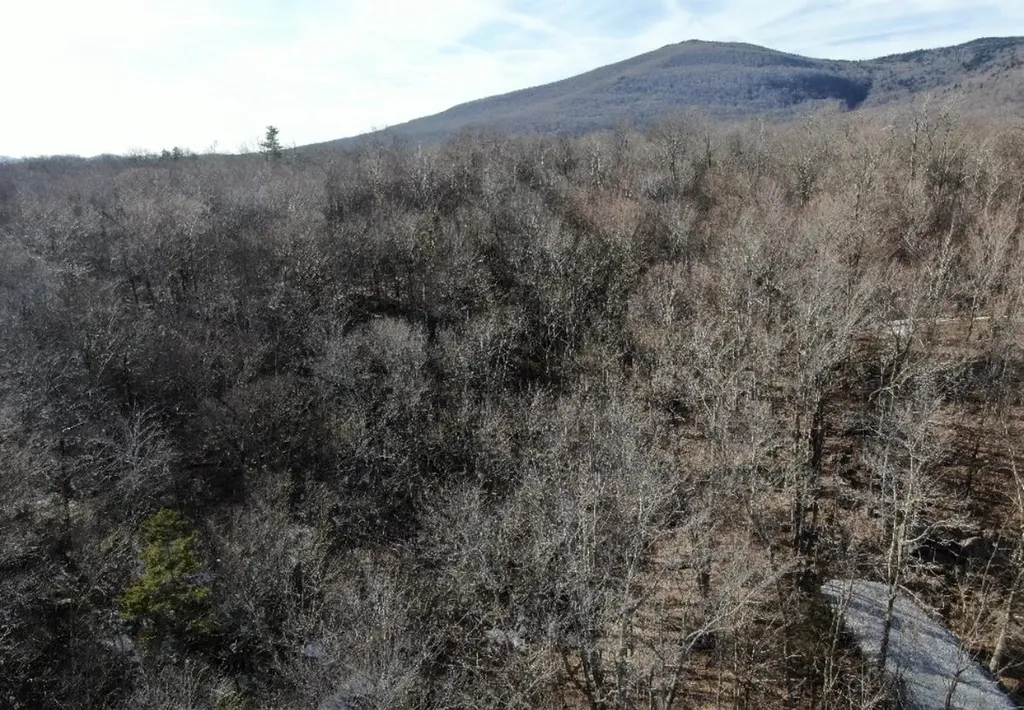 9 Cortina Country Road Mendon VT 05701