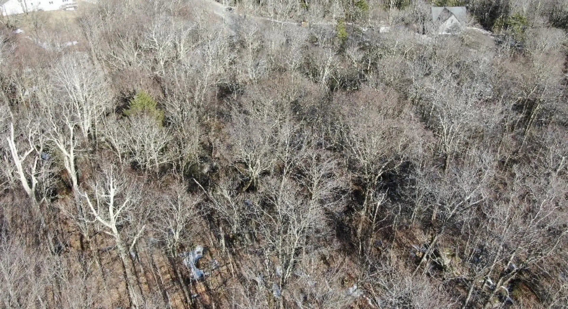 9 Cortina Country Road Mendon VT 05701