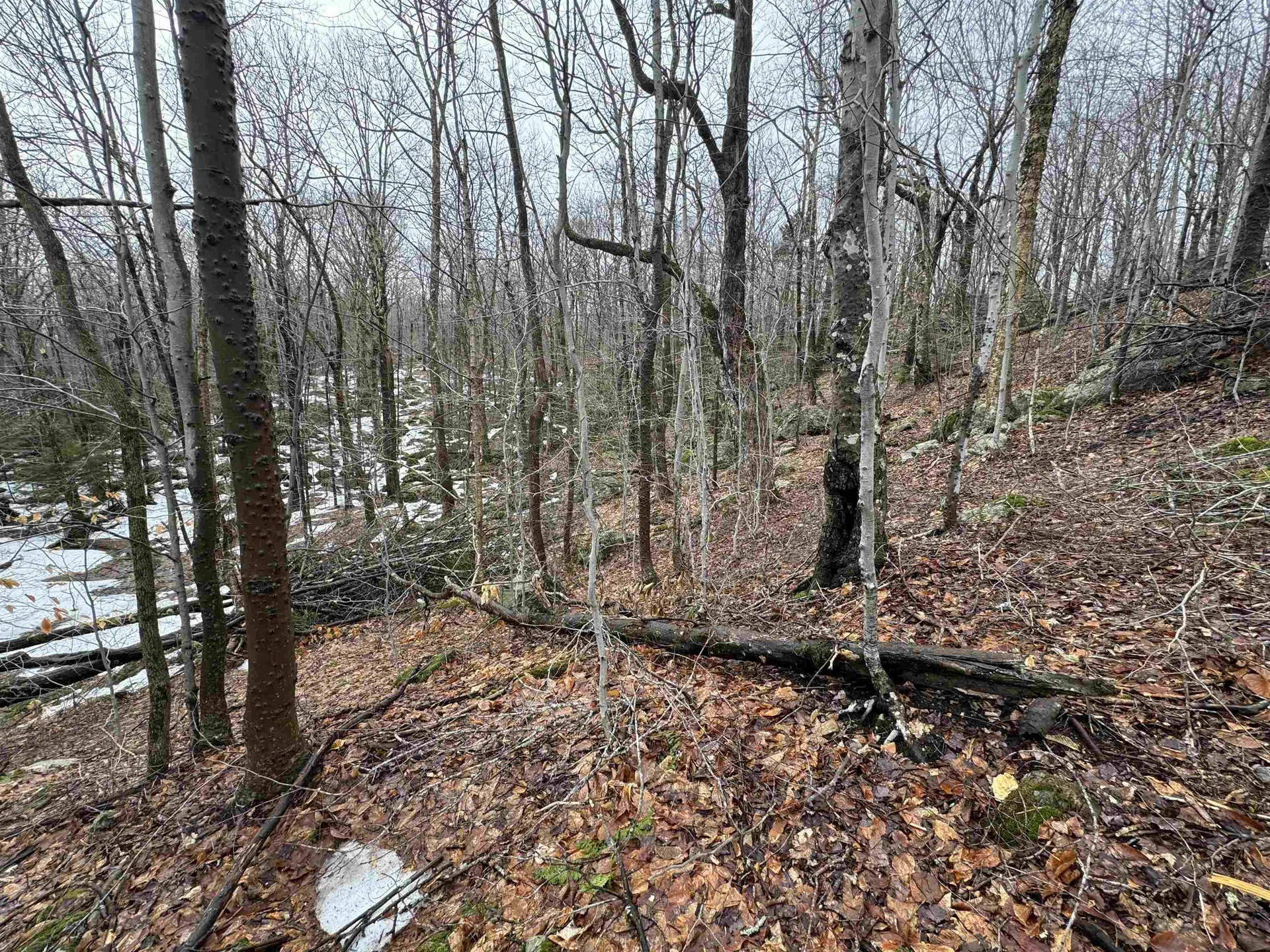 9 Cortina Country Road Mendon VT 05701