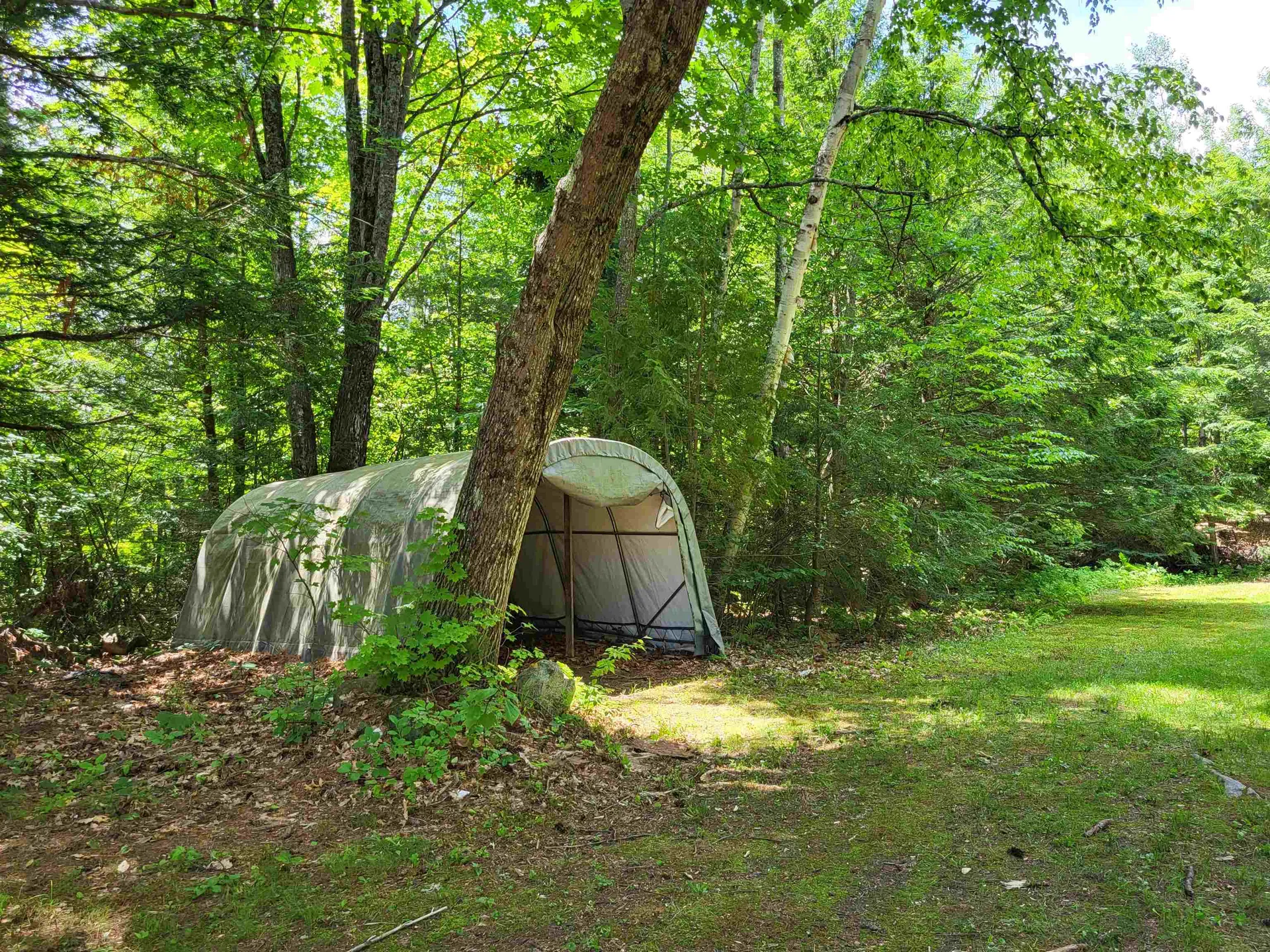 1425 Mount Major Highway Alton NH 03810