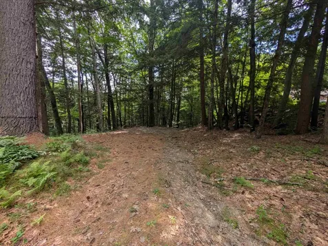 47 Green Acres Drive Bristol NH 03222