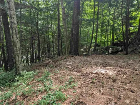 47 Green Acres Drive Bristol NH 03222