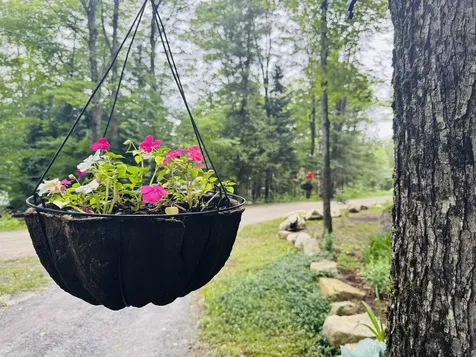 27 Birch Point S. Road Morgan VT 05853