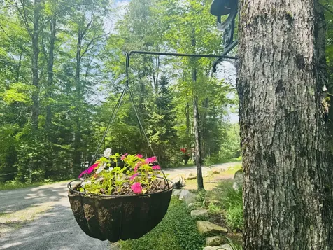 27 Birch Point S. Road Morgan VT 05853