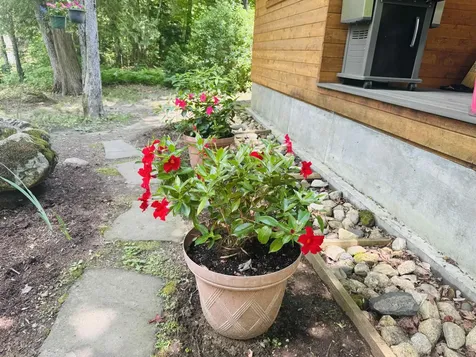 27 Birch Point S. Road Morgan VT 05853