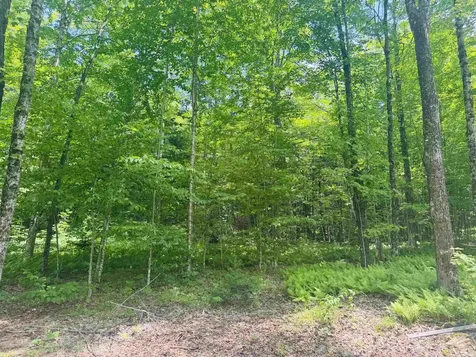 27 Birch Point S. Road Morgan VT 05853