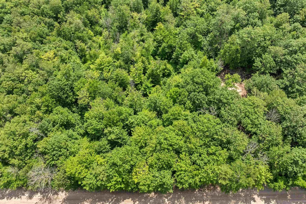 005D Phineas Graves Road Tuftonboro NH 03816