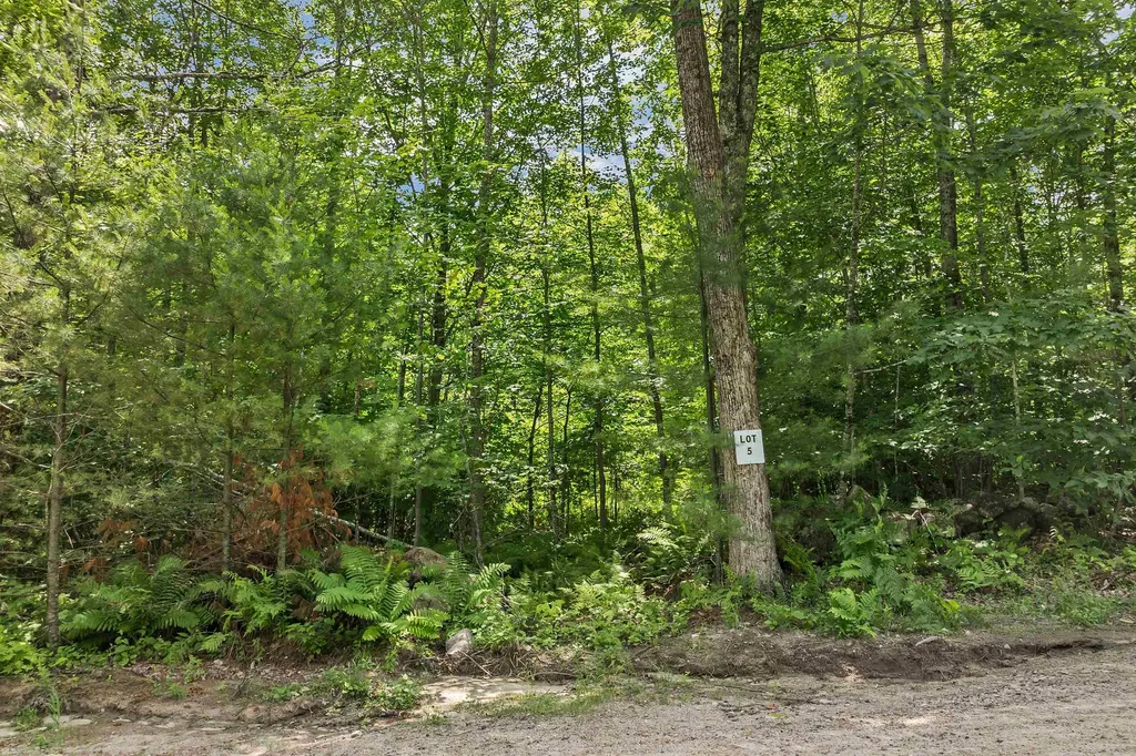 005D Phineas Graves Road Tuftonboro NH 03816